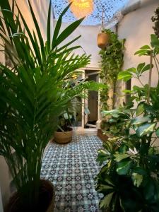 Appartement Haussmannien rue piétonne Opéra