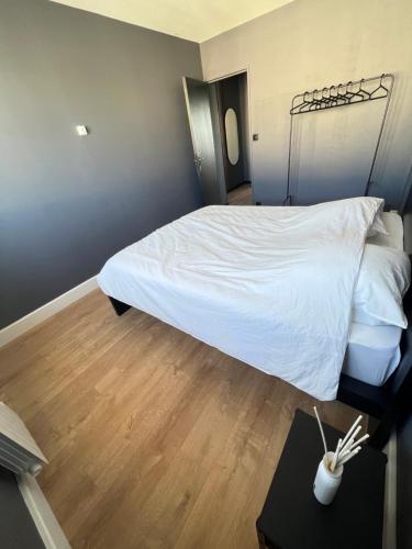 Appartement haut standing proche du centre ville, vue sur la Cathédrale saint louis
