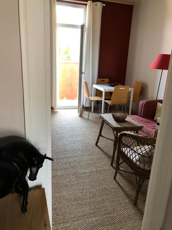 Appartement Appartement Hippolyte 10 Rue Hippolyte 34000 Montpellier