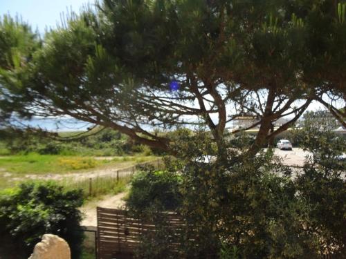 Appartement Hyères, 2 pièces, 4 personnes - FR-1-335-159