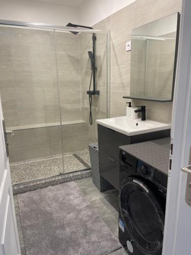 Appartement hyper centre