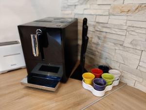 Appartement Hyper Centre Evian - Leman Odyssey