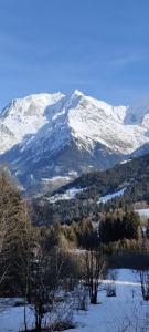 Appartement Appartement idéal été ou hiver, pour skieurs et promeneurs, 4 personnes 537 Rue du Mont Lachat  App n°4 74170 Saint-Gervais-les-Bains Rhône-Alpes