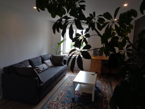 Appartement indépendant LE PANASSA, Centre ville, Garage privé