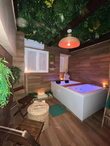 Appartement JACUZZI / BALNÉO Vieil Antibes