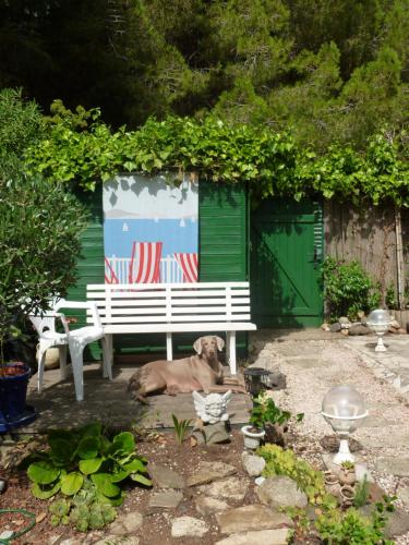Appartement jardin Cap d'Agde