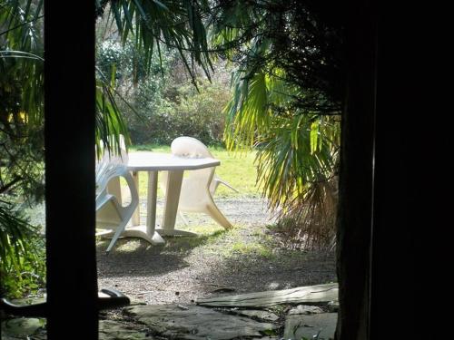 Appartement La Bananeraie
