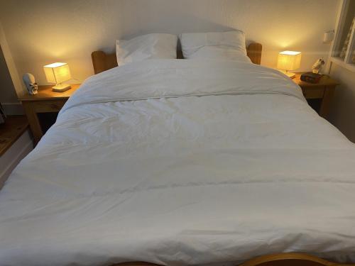 Appartement La Bourboule, 2 pièces, 4 personnes - FR-1-667-3