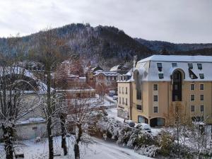 Appartement La Bourboule, 3 pièces, 4 personnes - FR-1-667-15