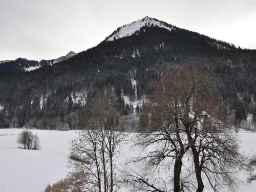 Appartement La Chapelle-d'Abondance, 2 pièces, 6 personnes - FR-1-692-8