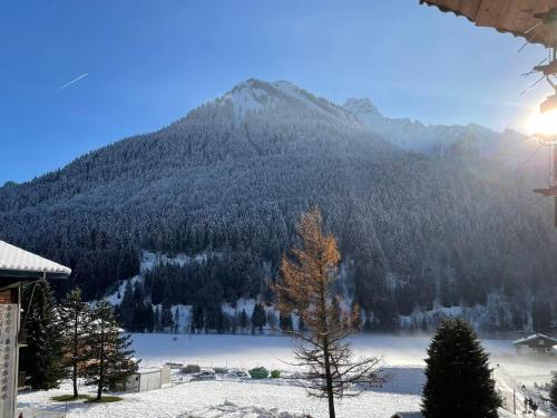 Appartement La Chapelle-d'Abondance, 4 pièces, 8 personnes - FR-1-692-80