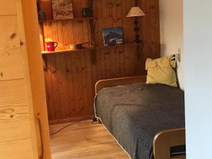 Appartement La Clusaz, 3 pièces, 6 personnes - FR-1-459-53