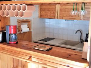 Appartement La Joue du Loup, 2 pièces, 8 personnes - FR-1-504-611