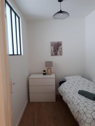 Appartement La Jungle