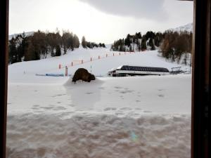 Appartement La Plagne, 2 pièces, 4 personnes - FR-1-455-215