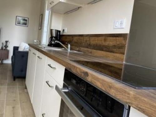 Appartement La Roche-Posay, 3 pièces, 2 personnes - FR-1-541-94