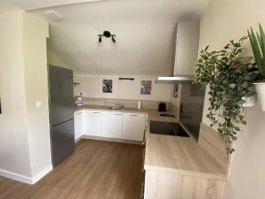 Appartement La Roche-Posay, 3 pièces, 2 personnes - FR-1-541-97