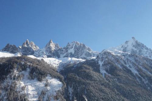 Appartement La Vallée Blanche avec parking gratuit