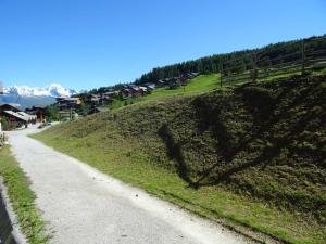 Appartement Landry-Vallandry, 1 pièce, 4 personnes - FR-1-411-311
