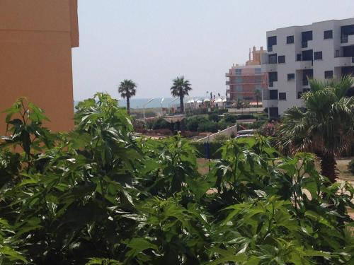 Appartement Le Barcarès, 3 pièces, 6 personnes - FR-1-81-507