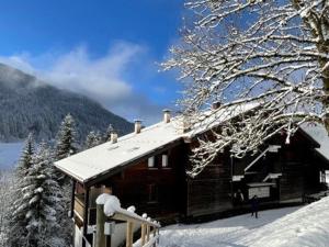 Appartement Le Grand-Bornand, 4 pièces, 8 personnes - FR-1-458-151