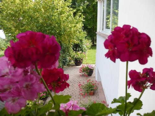 Appartement Le Jardin