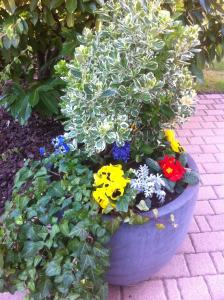 Appartement Le Jardin