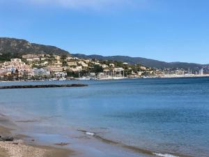 Appartement Appartement Le Lavandou, 2 pièces, 4 personnes - FR-1-308-158 Immeuble 5 - appartement N°49 N°18 Avenue Vincent Auriol 83980 Le Lavandou Provence-Alpes-Côte d\'Azur