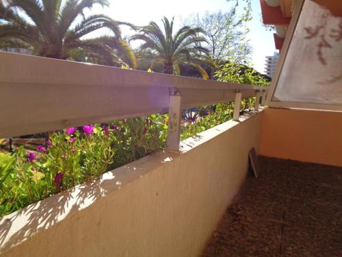 Appartement Le Lavandou, 2 pièces, 4 personnes - FR-1-308-66