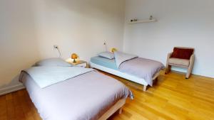 Appartement Le Passage - Ostheim