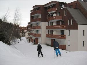 Appartement Appartement Le Pleynet, 1 pièce, 3 personnes - FR-1-557A-26 les gentianes 1 38580 La Ferrière Rhône-Alpes