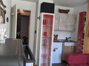 Appartement Appartement Le Pleynet, 1 pièce, 3 personnes - FR-1-557A-46 les séracs 1 38580 La Ferrière Rhône-Alpes