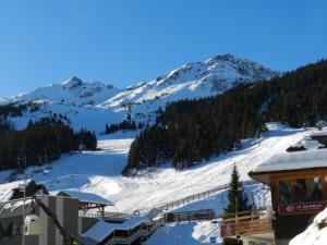 Appartement Le Pleynet, 1 pièce, 4 personnes - FR-1-557A-16