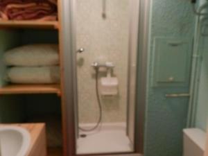 Appartement Le Pleynet, 1 pièce, 4 personnes - FR-1-557A-38