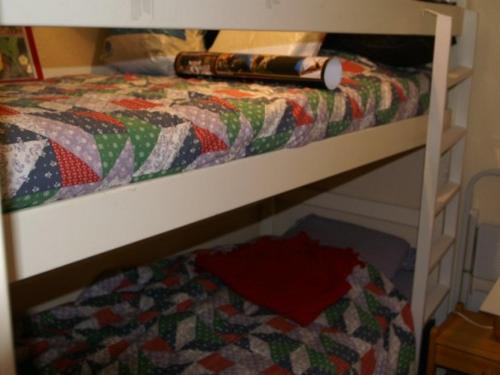 Appartement Le Pleynet, 2 pièces, 6 personnes - FR-1-557A-3