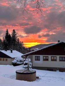 Appartement le Renard bain finlandais privatif