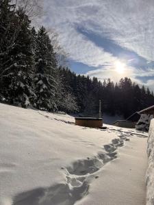 Appartement le Renard bain finlandais privatif