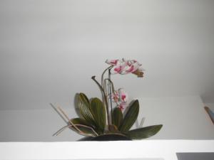 Appartement Le Romarin