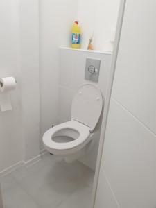 APPARTEMENT LE ROUSSEAU METZ AVEC PARKING GRATUIT