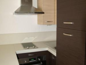 Appartement Les Adrets-Prapoutel, 1 pièce, 2 personnes - FR-1-557-28