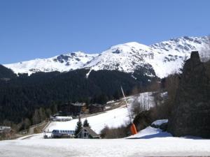Appartement Les Adrets-Prapoutel, 1 pièce, 3 personnes - FR-1-557-10