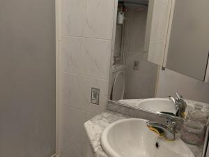Appartement Les Adrets-Prapoutel, 1 pièce, 3 personnes - FR-1-557-127