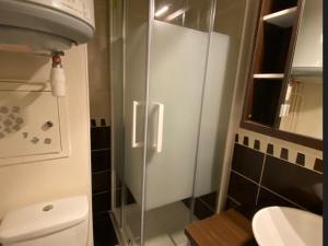 Appartement Les Adrets-Prapoutel, 1 pièce, 3 personnes - FR-1-557-44