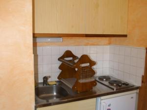Appartement Les Adrets-Prapoutel, 1 pièce, 4 personnes - FR-1-557-51