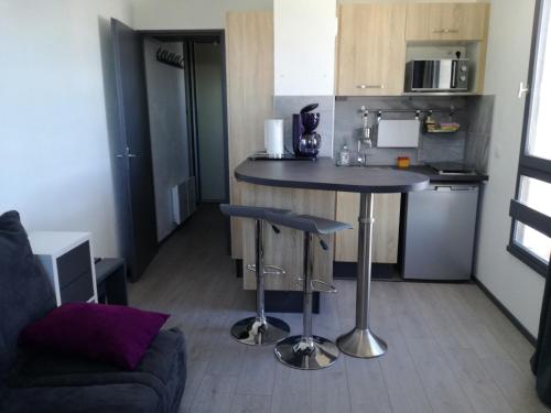 Appartement Les Adrets-Prapoutel, 1 pièce, 4 personnes - FR-1-557-75
