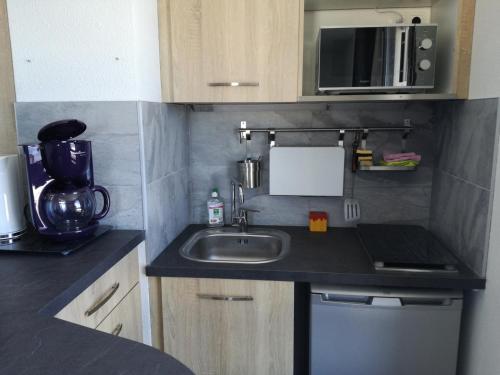 Appartement Les Adrets-Prapoutel, 1 pièce, 4 personnes - FR-1-557-75