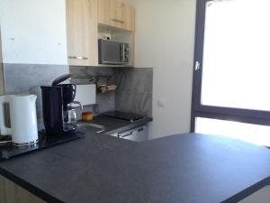 Appartement Les Adrets-Prapoutel, 1 pièce, 4 personnes - FR-1-557-75