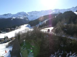 Appartement Les Adrets-Prapoutel, 2 pièces, 5 personnes - FR-1-557-110