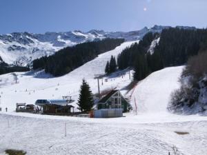 Appartement Les Adrets-Prapoutel, 2 pièces, 5 personnes - FR-1-557-62