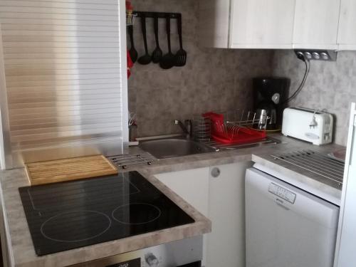 Appartement Les Adrets-Prapoutel, 2 pièces, 5 personnes - FR-1-557-66
